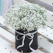 Цветочная композиция из Гипсофила в шляпной коробке #REPLACE_PRED# Пятницкое