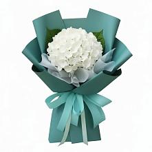 Букет цветов из:  Гортензия в Пятницкое